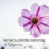 Acostarse Temprano - Música Instrumental de Relajacion - Canciones para Aliviar el Dolor de Cabeza y Relajarte